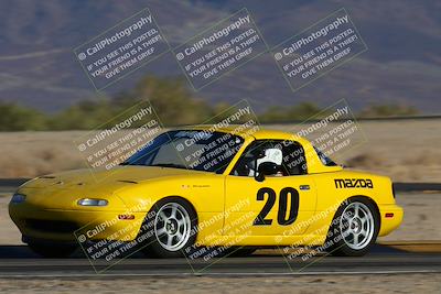 media/Nov-23-2024-Nasa (Sat) [[59fad93144]]/HPDE 1-2/Session 3 Turn 4 Tree of Life/
